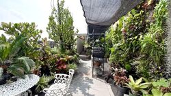 Nicole Green (D14), Apartment #604883821